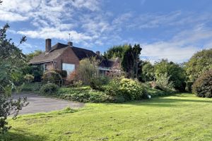 Photo 12- click for photo gallery